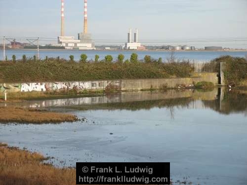 Booterstown Nature Reserve
